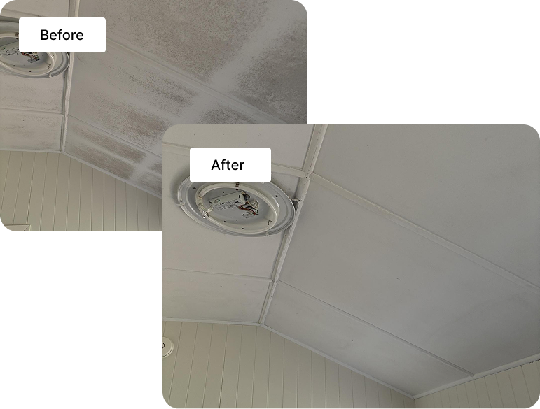 Mould removal service in Brisbane living room